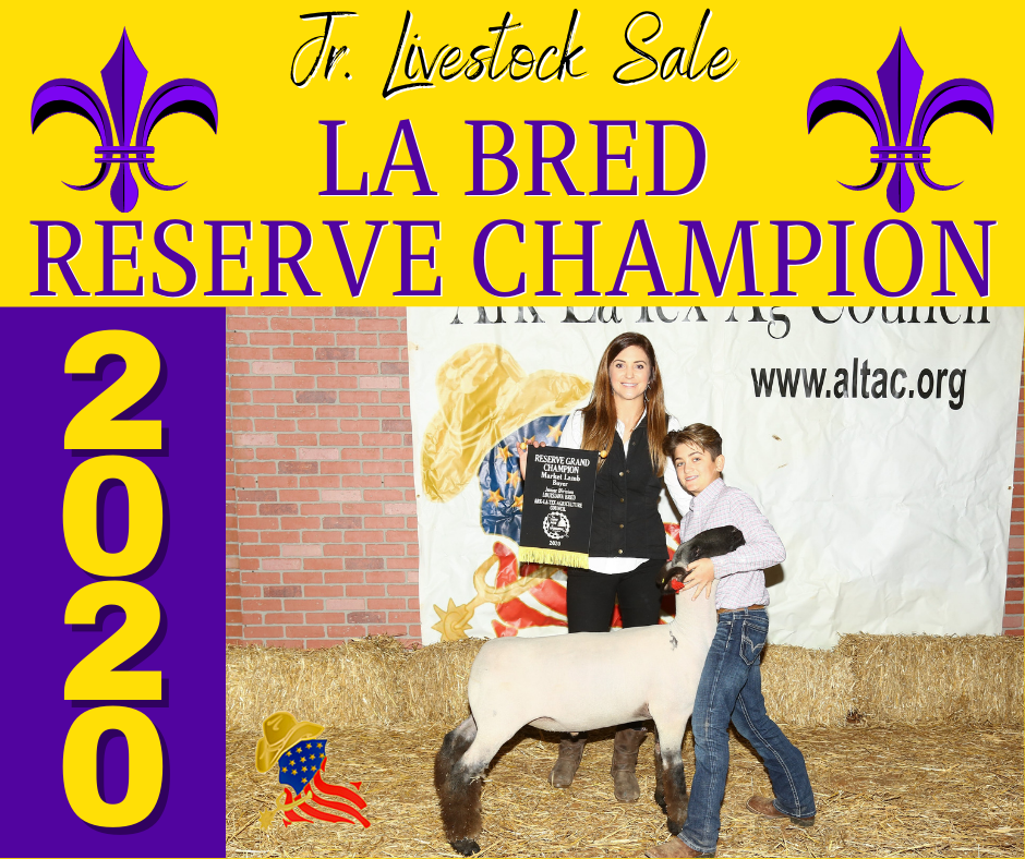 LA Bred Reserve Champion Sheep