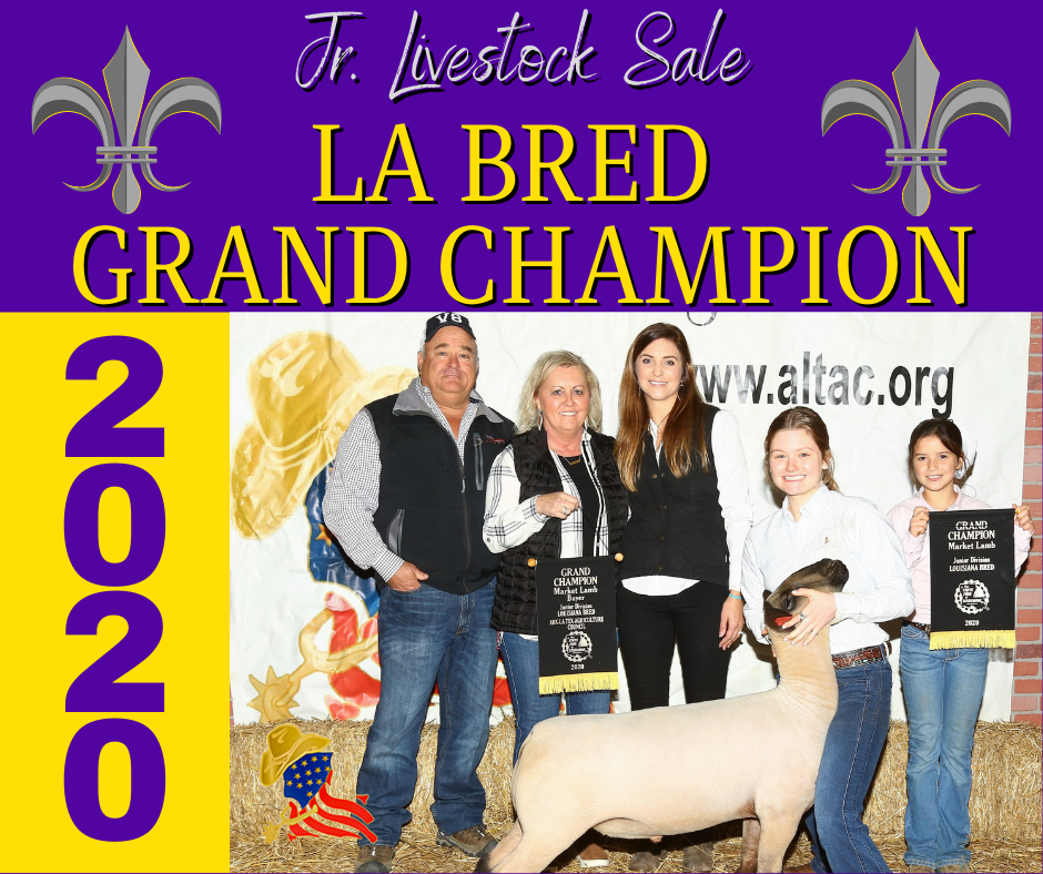 LA Bred Grand Champion Sheep