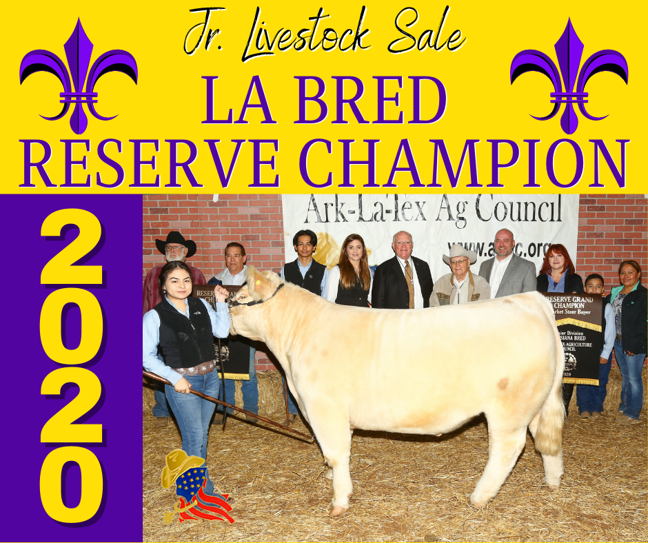 LA Bred Reserve Champion Steers
